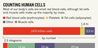 Scientists bust myth that 10,000 steps are required for good health - Financial Times