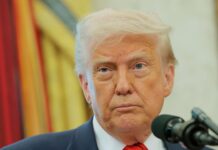 Trump Forced to Restore $6.2 Million in Funding for 9 LGBTQ+ Nonprofits Across the U.S. - them.us