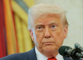 Trump Forced to Restore $6.2 Million in Funding for 9 LGBTQ+ Nonprofits Across the U.S. - them.us