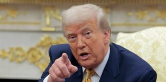 Trump's NIL executive order on 'saving college sports', explained - MSNBC News