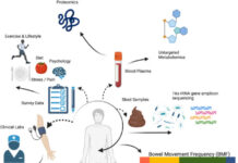 Your Poop Schedule Says a Lot About Your Overall Health, Suggests Study - ScienceAlert