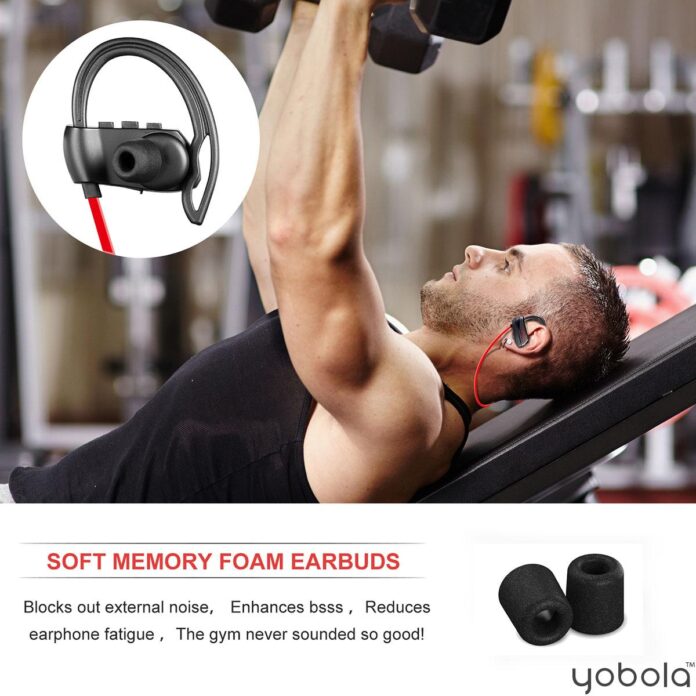 âGet Out, You Dirty Gayâ: Paris Salon Glow House Accused of Brutal Homophobic Attack - evidencenetwork.ca