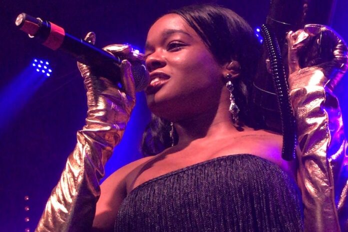 Azealia Banks Slammed for Saying Gay or Trans Is 