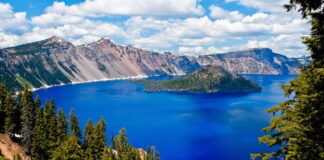 DIRECTV Launches Multi-Faceted College Sports Program with Army, Duke, Ohio State, Oregon, Texas, and UNC - Learfield