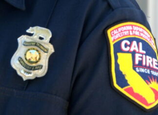 HHS staffers implore RFK Jr. to ‘stop spreading inaccurate health information’ in wake of CDC shooting - CNN