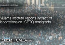 Impacts of Immigration Enforcement on LGBT Adult Immigrants in Los Angeles County - Williams Institute