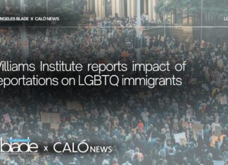 Impacts of Immigration Enforcement on LGBT Adult Immigrants in Los Angeles County - Williams Institute