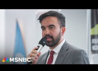 Mara Gay: Mamdani has done something special, and progressives need Black voters to make it last – MSNBC News Mara Gay: Mamdani has done something special, and progressives need Black voters to make it last - MSNBC News