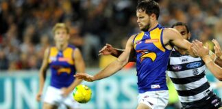 Mitch Brown a rare example of a queer player in men's sport - Australian Broadcasting Corporation