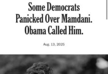 Opinion | Some Democrats Panicked Over Mamdani. Obama Called Him. - The New York Times