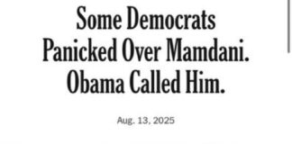 Opinion | Some Democrats Panicked Over Mamdani. Obama Called Him. - The New York Times