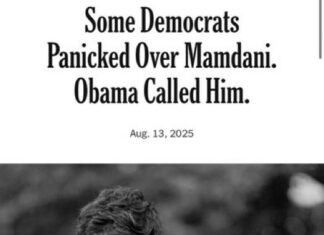 Opinion | Some Democrats Panicked Over Mamdani. Obama Called Him. - The New York Times