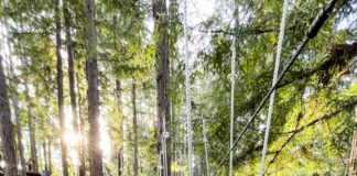 Outside Bay Area, LGBTQ centers facing new reality - Bay Area Reporter