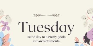 Tuesday, August 26, 2025 - AlbertMohler.com