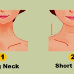 What your neck size reveals about your health – The Conversation