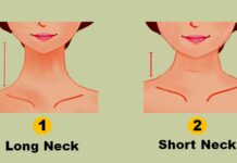 What your neck size reveals about your health – The Conversation What your neck size reveals about your health - The Conversation