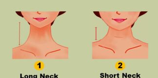What your neck size reveals about your health - The Conversation