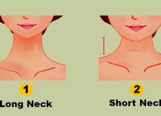 What your neck size reveals about your health - The Conversation