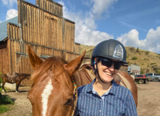 Asexual Lgbt Print Business Card Case Pocket Card Holder Slim Card Wallet for Men Women - The San Joaquin Valley Sun