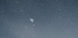 Boston police release images of people sought in attack on gay couple in Mattapan - WCVB