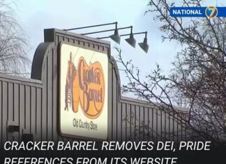 Cracker Barrel eliminates its DEI web page, removes LGBT references after logo flip-flop - New York Post