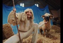 Gay Rams Produce Rainbow Wool to Promote Equality Measures Worldwide - ADWEEK