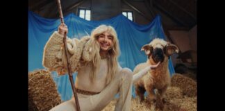 Gay Rams Produce Rainbow Wool to Promote Equality Measures Worldwide - ADWEEK