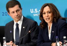 Harris faces backlash for saying Buttigieg was not viable running mate due to being gay - Fox News