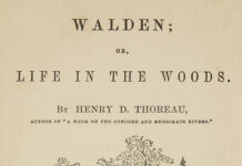 Influencer receives heavy criticism for saying men who do housework are ‘gay’ - Mint