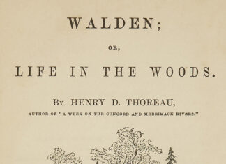 Influencer receives heavy criticism for saying men who do housework are ‘gay’ - Mint