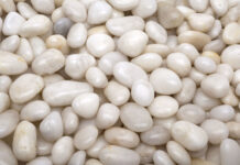 Meet the support group for gender-critical gay men: âWe gather in secretâ - The Times