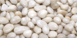 Meet the support group for gender-critical gay men: âWe gather in secretâ - The Times