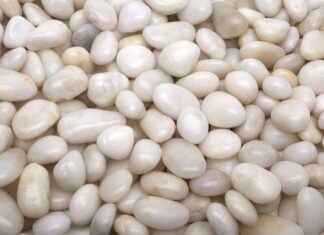 Meet the support group for gender-critical gay men: âWe gather in secretâ - The Times