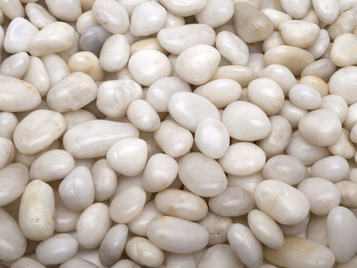 Meet the support group for gender-critical gay men: âWe gather in secretâ - The Times