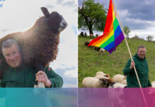 New fashion label makes clothes from the wool of gay sheep - Q News Pty Ltd