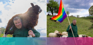New fashion label makes clothes from the wool of gay sheep - Q News Pty Ltd