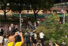 Opinion | Government has failed LGBT Hongkongers over same-sex partnership bill - South China Morning Post