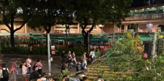 Opinion | Government has failed LGBT Hongkongers over same-sex partnership bill - South China Morning Post