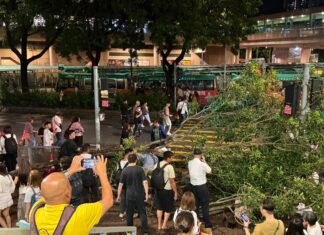 Opinion | Government has failed LGBT Hongkongers over same-sex partnership bill - South China Morning Post