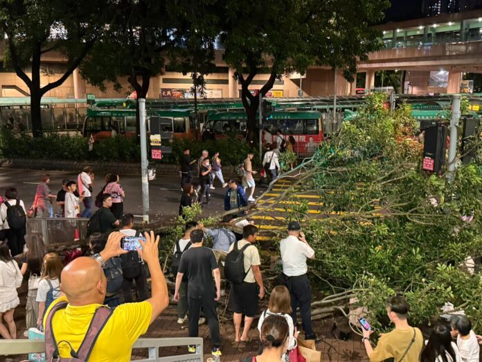 Opinion | Government has failed LGBT Hongkongers over same-sex partnership bill - South China Morning Post