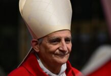 Pope Leo Holds Back as sinners Rejoice: Chaos on the Vatican’s LGBT Jubilee Day - The Catholic Thing