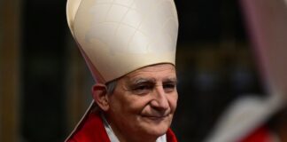 Pope Leo Holds Back as sinners Rejoice: Chaos on the Vatican’s LGBT Jubilee Day - The Catholic Thing