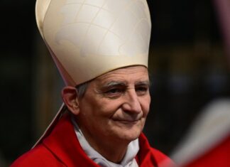 Pope Leo Holds Back as sinners Rejoice: Chaos on the Vatican’s LGBT Jubilee Day - The Catholic Thing