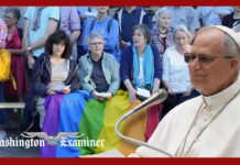 Pope Leo XIV expresses support for LGBT inclusion in Catholic Church - Washington Examiner