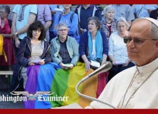Pope Leo XIV expresses support for LGBT inclusion in Catholic Church - Washington Examiner