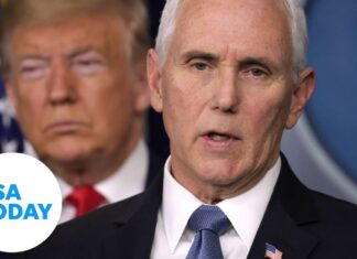 Resident tests positive for plague in New Mexico, health officials say - USA Today