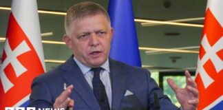 Slovakia passes law to recognise only two sexes and restrict adoption - BBC