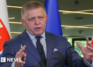 Slovakia passes law to recognise only two sexes and restrict adoption - BBC