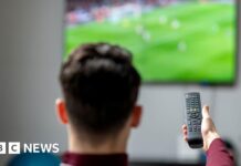 Streameast: Largest illegal live sports streaming site shut down - BBC