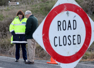 What the science says about Tylenol and autism as RFK Jr. prepares to release bombshell report - New York Post